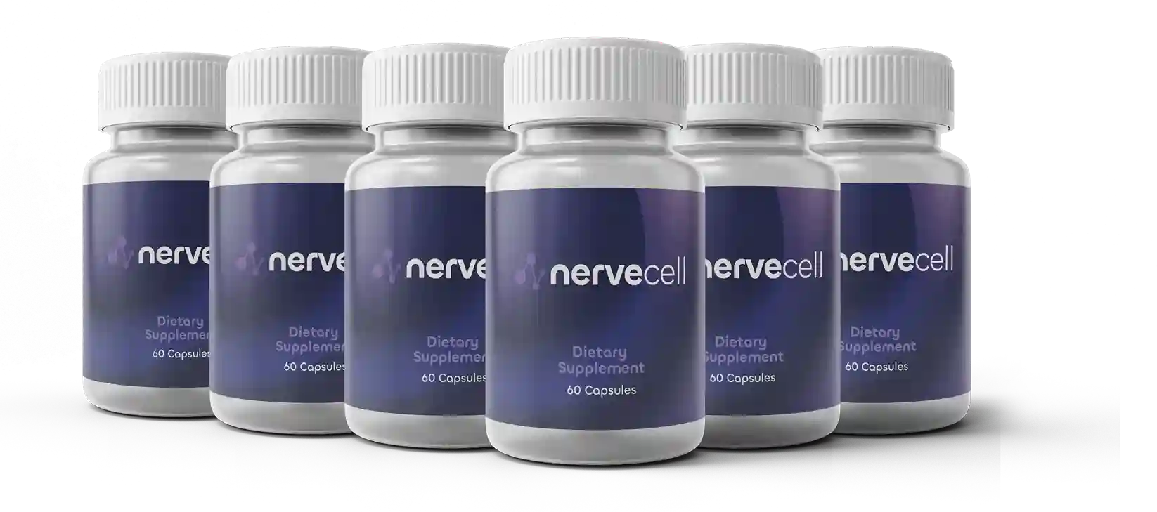 NerveCell NerveCell Buy